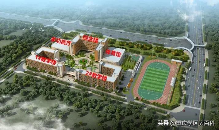 沙小、树人、七中!来看沙坪坝如何布局教育资源