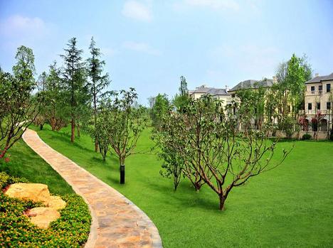 一个藏在成北富豪们心里十年的痛