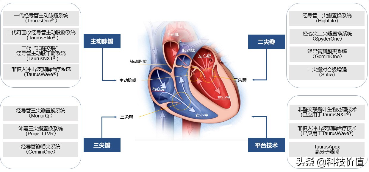 沛嘉医疗器械有潜力吗,沛嘉医疗科技怎么样