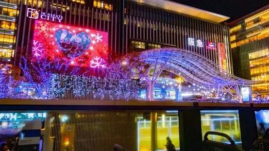 鹿儿岛与熊本,熊本县一日游超全攻略