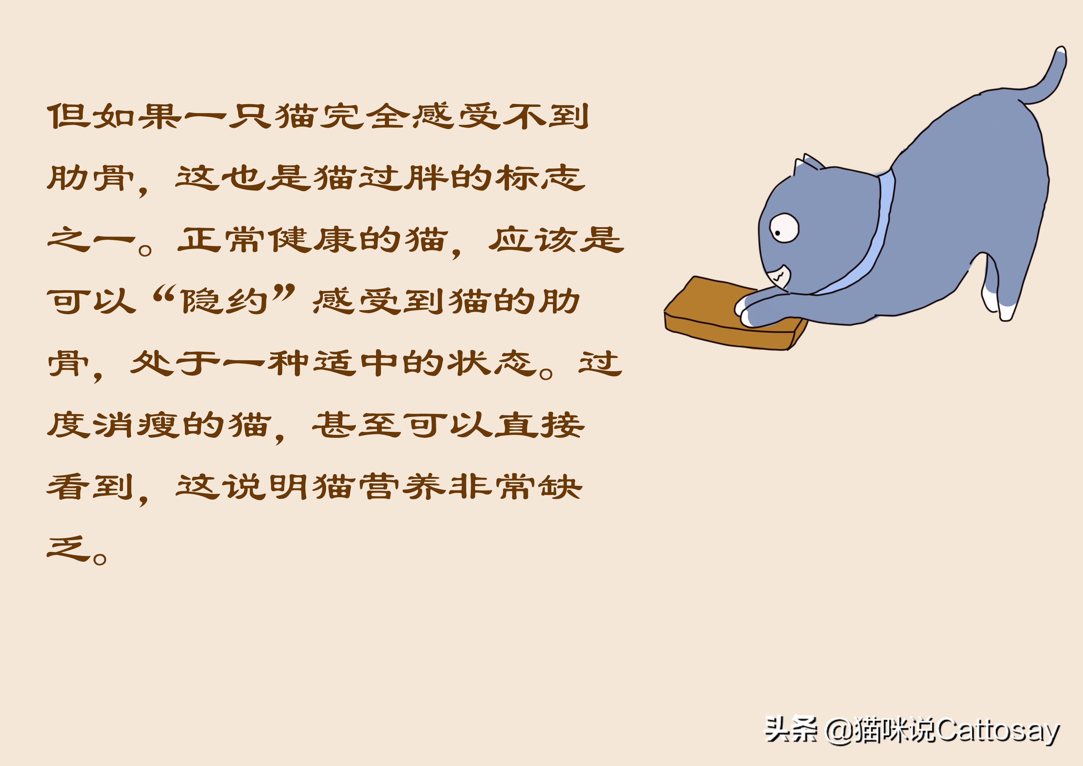 猫过度摄入维生素b会怎样,猫生病后怎么通过饮食给他补营养