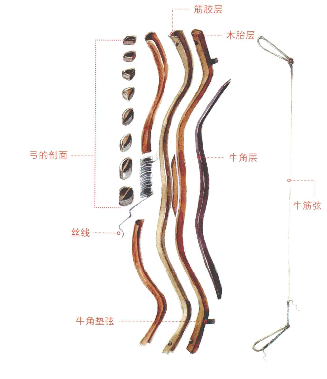 弓箭和神臂弓的区别,神臂弓和一般弩的区别