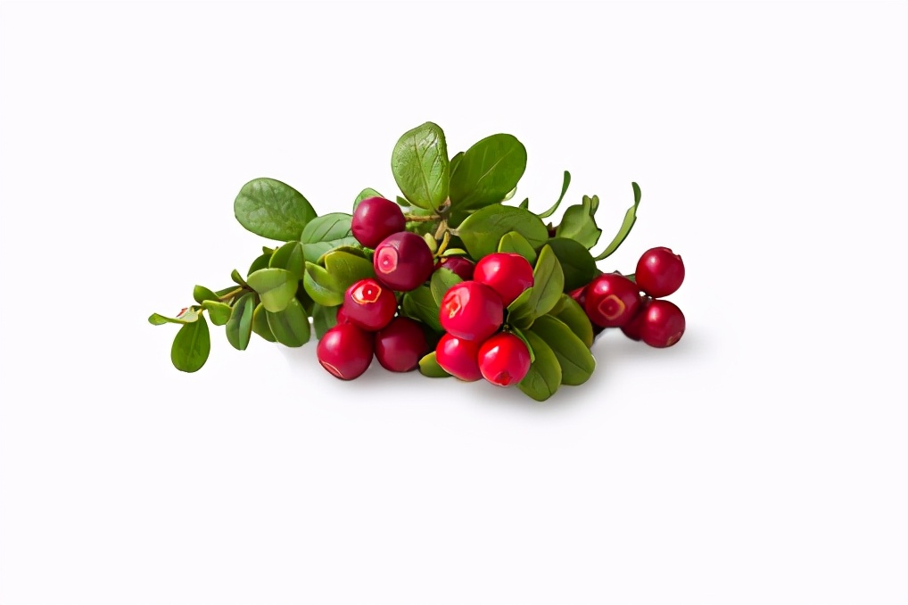 博士美白祛斑,美白祛斑成分一览表