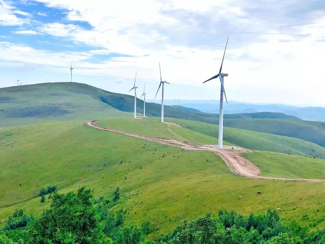 千松坝国家森林公园看云海,在万米的高空看云海