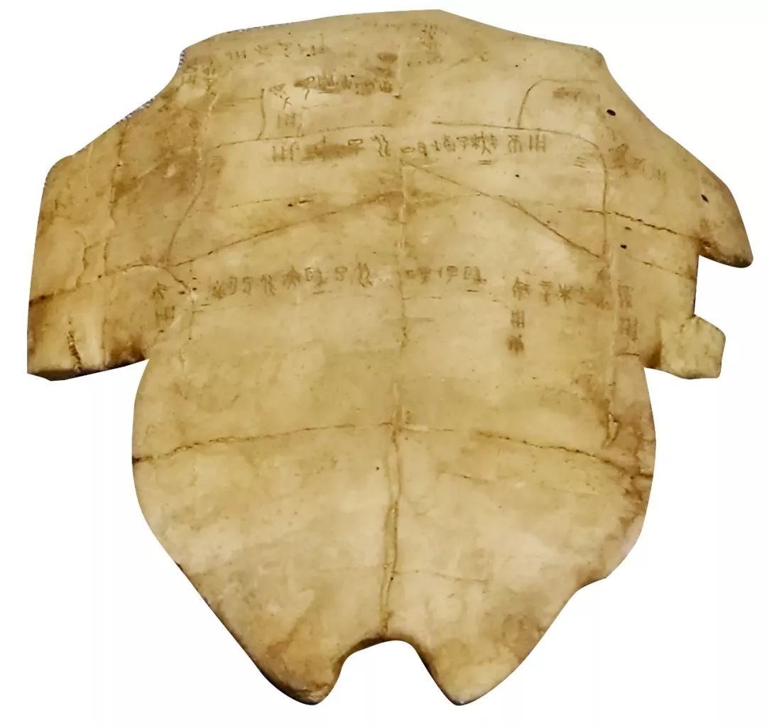 甲骨文书法图片大全,甲骨文书法图片高清