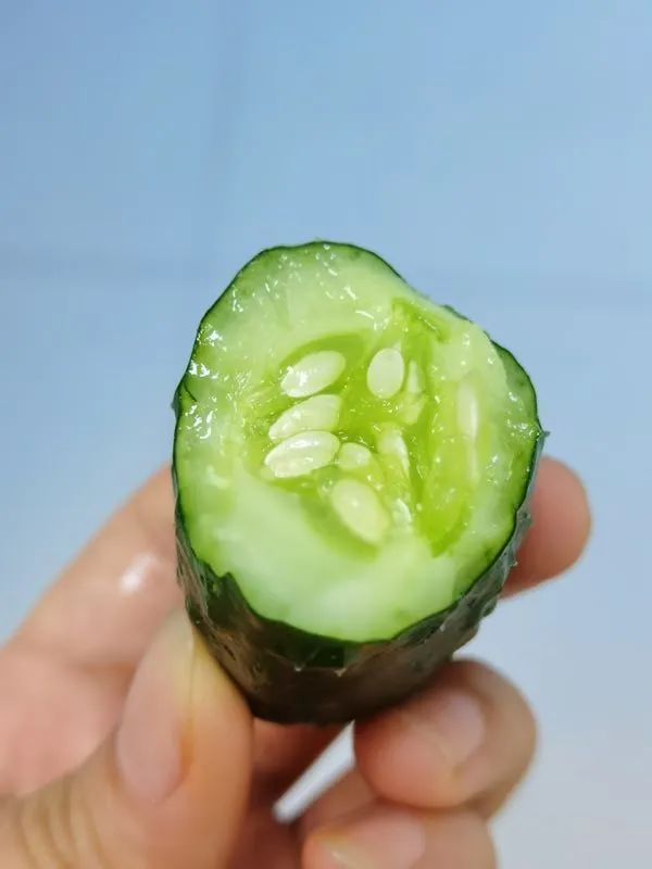 大自然生态农场有机蔬菜,炎炎夏日新鲜水果等你来品尝