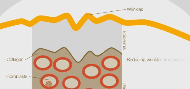 鏈変簡婊ら暅鍐嶅ぇ鐨勭溂琚嬮兘涓嶆槸浜嬪効,鍏眰婊ら暅