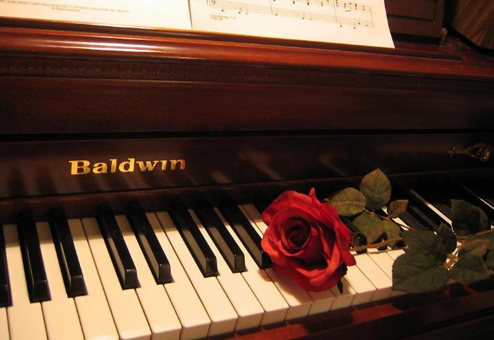 初学钢琴需要哪些练习曲,初学钢琴要注意指法还是培养兴趣