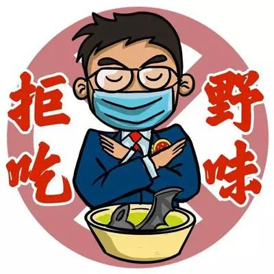 哪些野生动物不能吃?野生动物名录了解一下