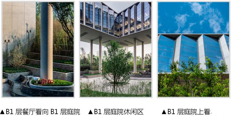 京东西南总部内部组织架构,京东西南总部在哪里