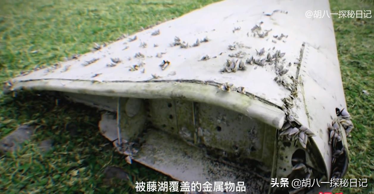 马航370真实事件最后找到了没,马航370真实事件是哪一年的事