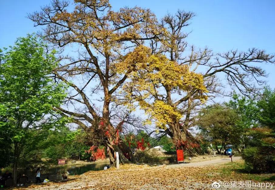 成都值得去的免费景点,成都景点小众游乐场