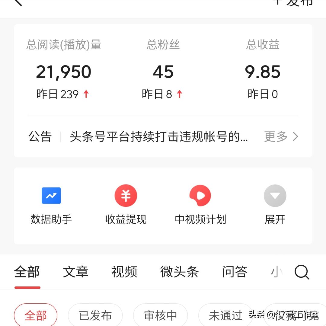 微头条和问答哪个收益好,微头条跟文章哪个收益更高