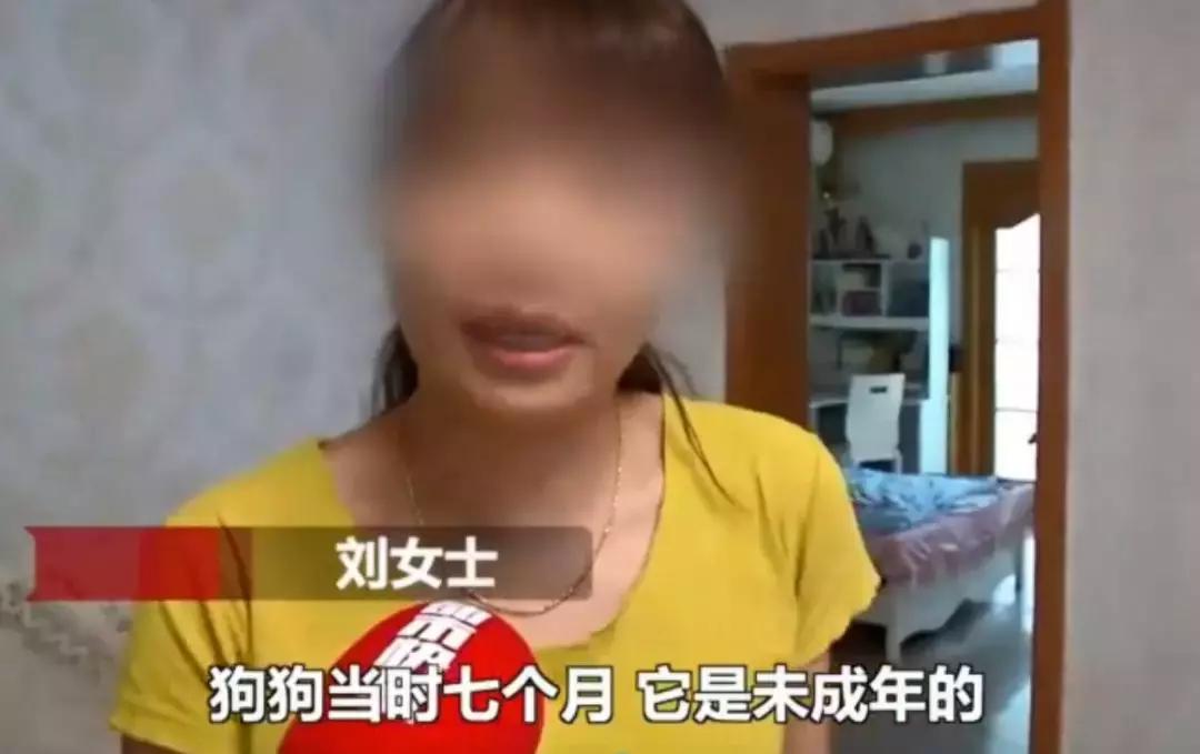 毛孩子初次发情，意外怀孕危害大！怎么办？