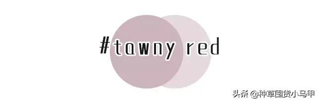 实体店被举报卖假货,专柜售假是真的吗