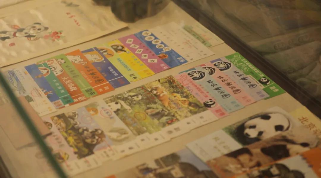 北京动物园和北京大兴野生动物园,北京动物园儿童动物园