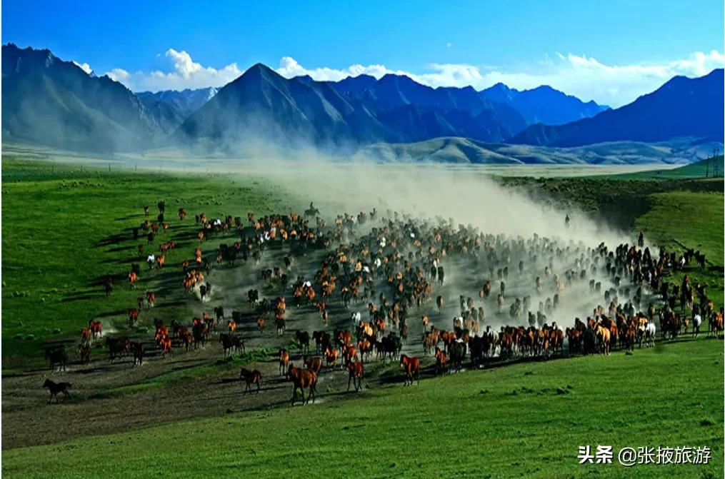 山丹军马场旅游去哪个马场,山丹军马场世界第一大军马场