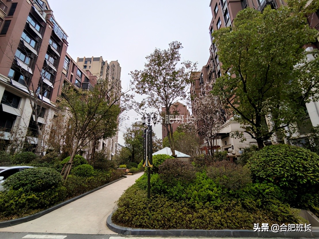 文一名门湖语叠墅,文一名门湖语值不值得买