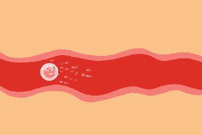 孕妇怎么样吃叶酸才不会肠胃不好,叶酸孕期怎么吃