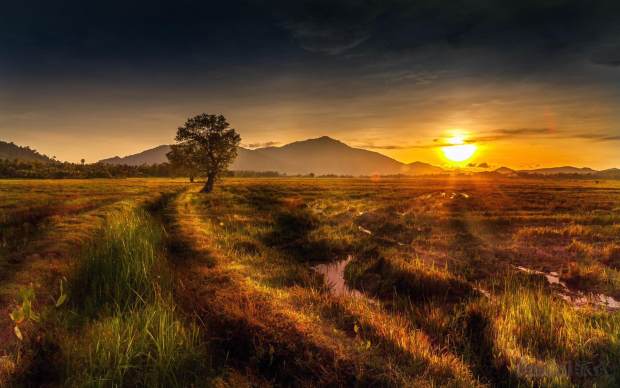 一个购物者的自白观后感,一个人做淘宝的心得