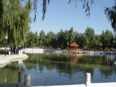 黑龙江寻宝记免费看,65岁以上黑龙江景区免费