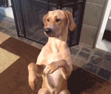 客服兼职有什么坑,现在的客服靠谱吗