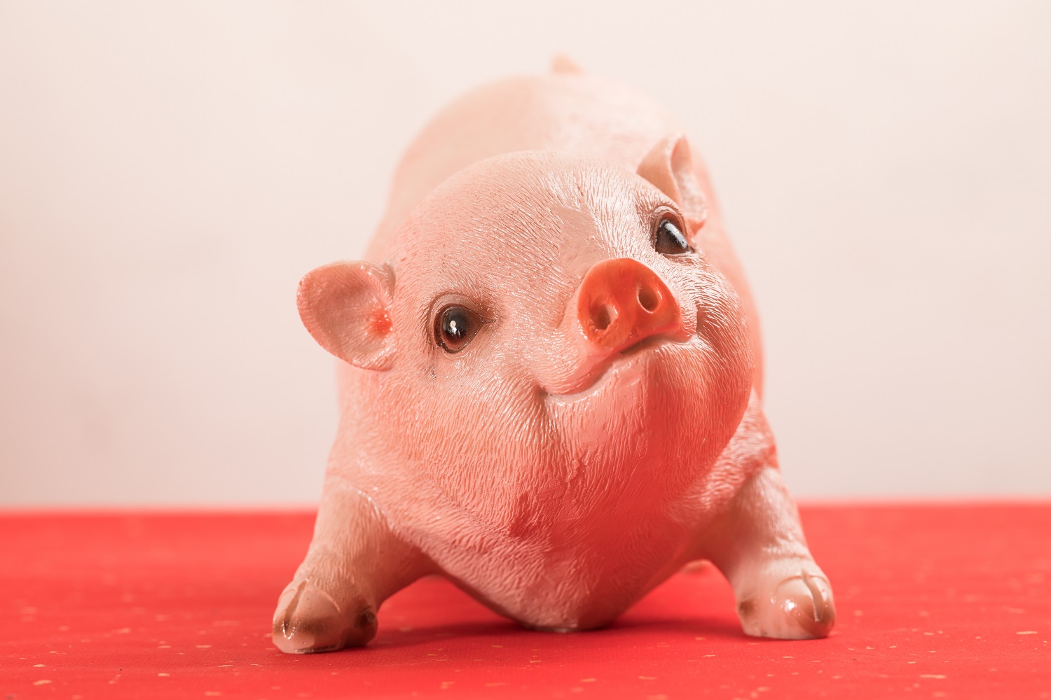 听说过猪的故事整人,生肖猪的传说