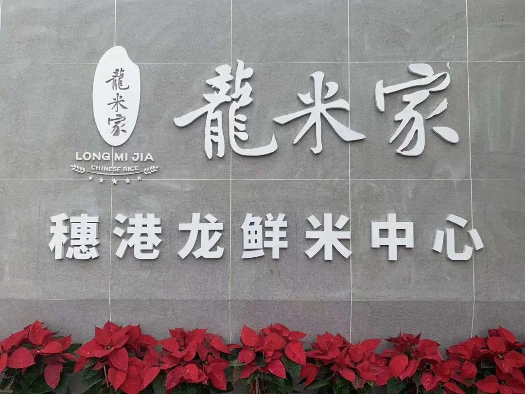 “中粮是绿皮火车，我们是高铁或飞机”丨专访龙米家创始人姜丰