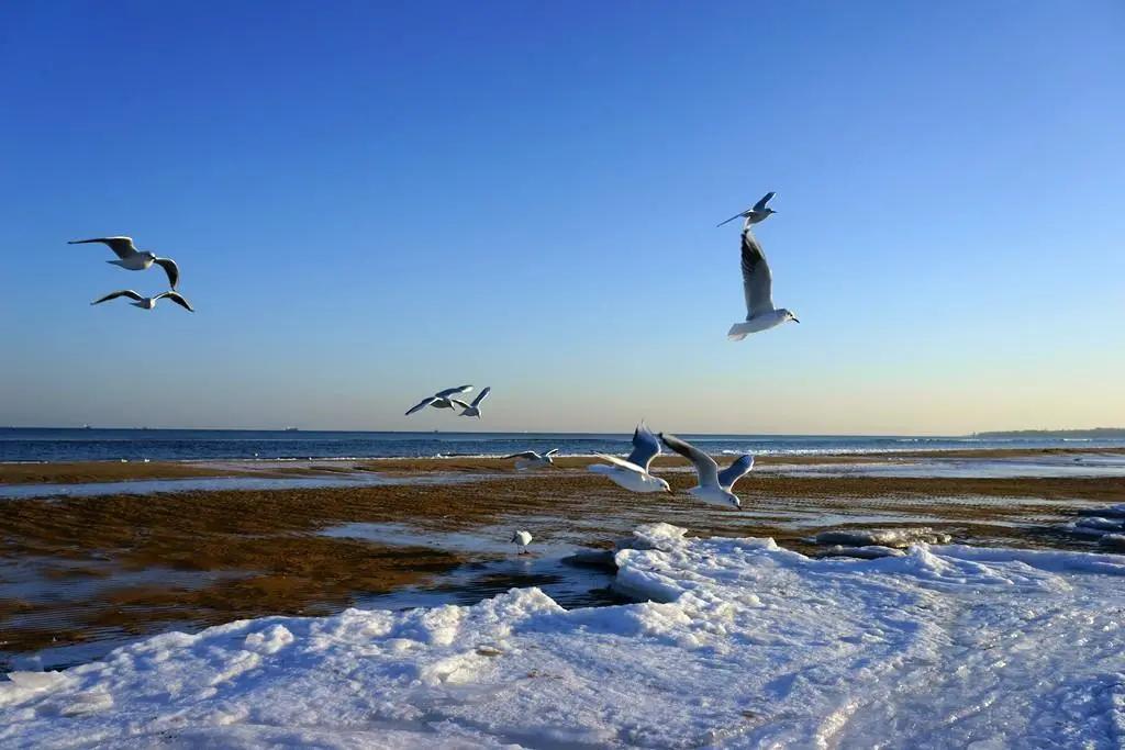 在青岛玩怎么能尽兴,青岛冬季旅游攻略最新消息