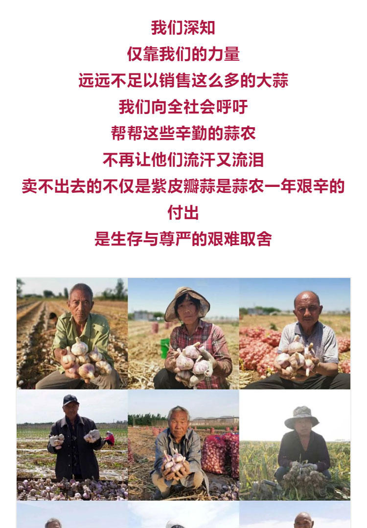 鍔╁啘鐧惧崄涓囦憨婊為攢澶ц挏,绱毊澶ц挏椴滆挏鍔╁啘5鏂よ