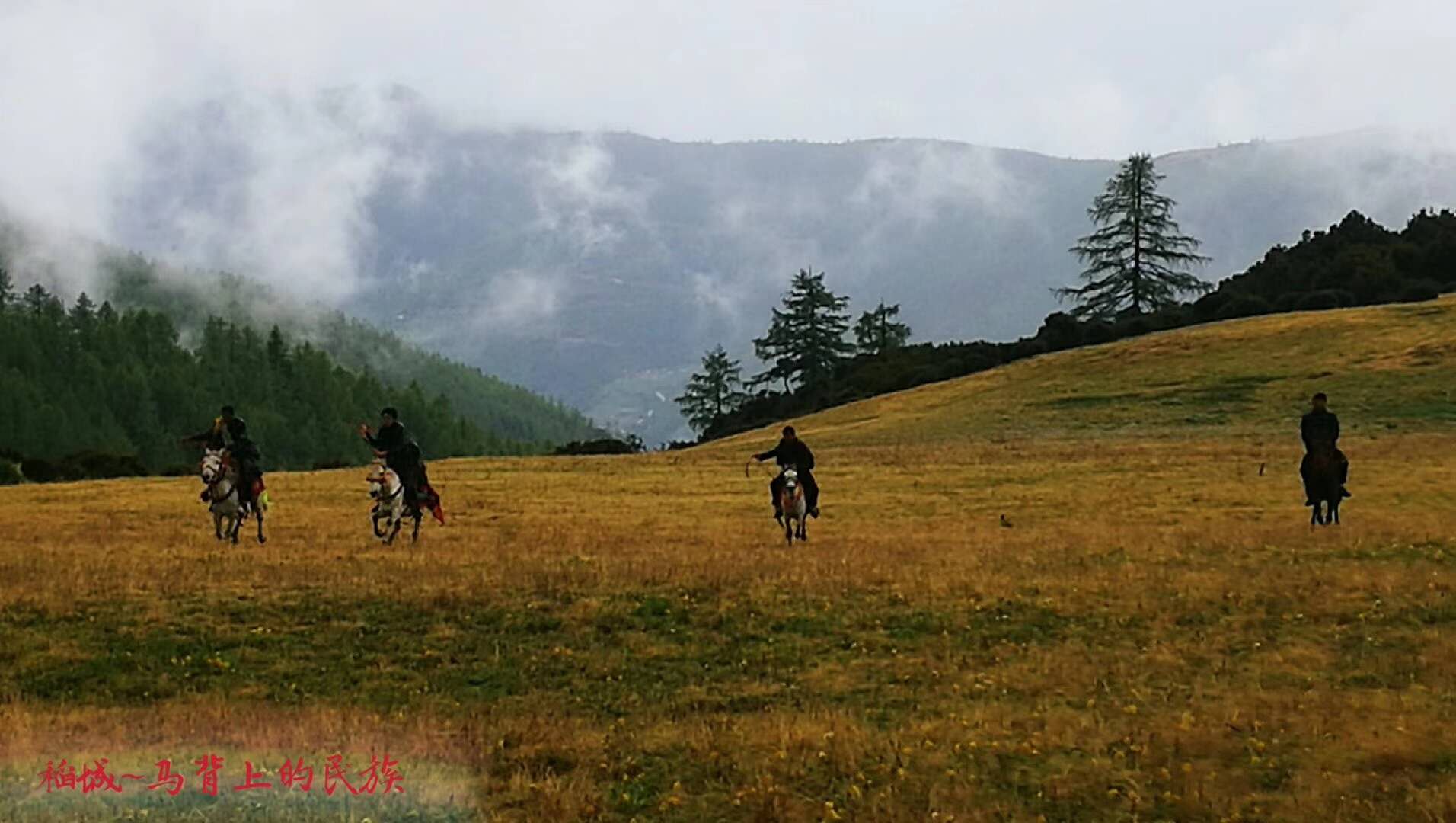 高原上奔跑是什么样的感觉,云顶草原骑马真实感受