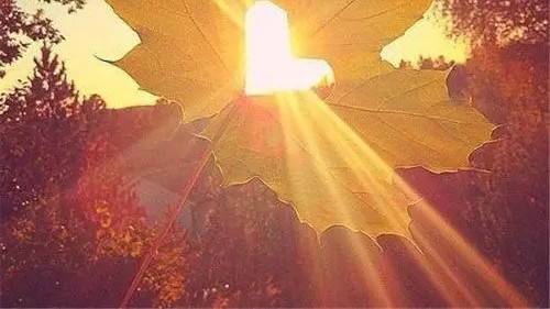 一觉醒来竹马变男友讲了什么,一觉醒来竹马变男友小说