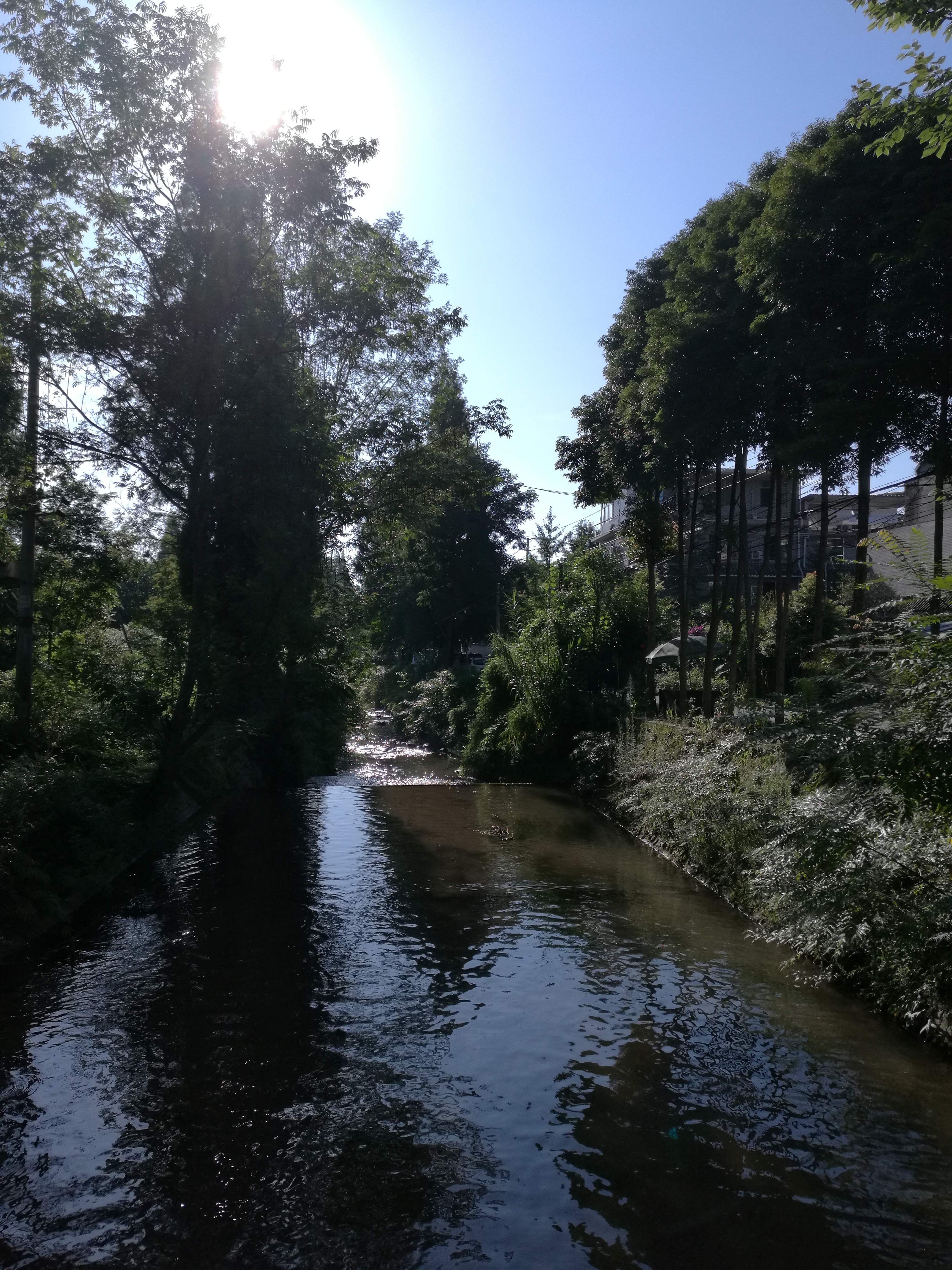 夏天去青城山避暑好吗,夏天周末青城山避暑玩水