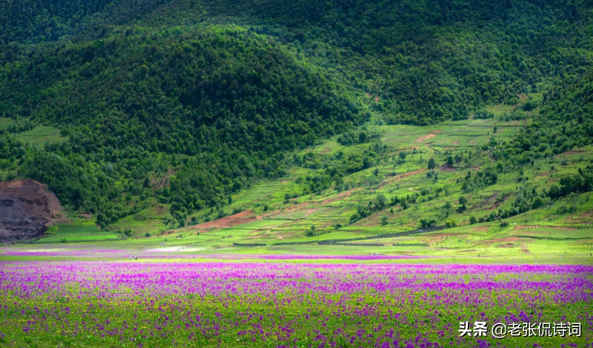 宋代古诗关于春的描写,宋代大诗人征集的关于春天的古诗