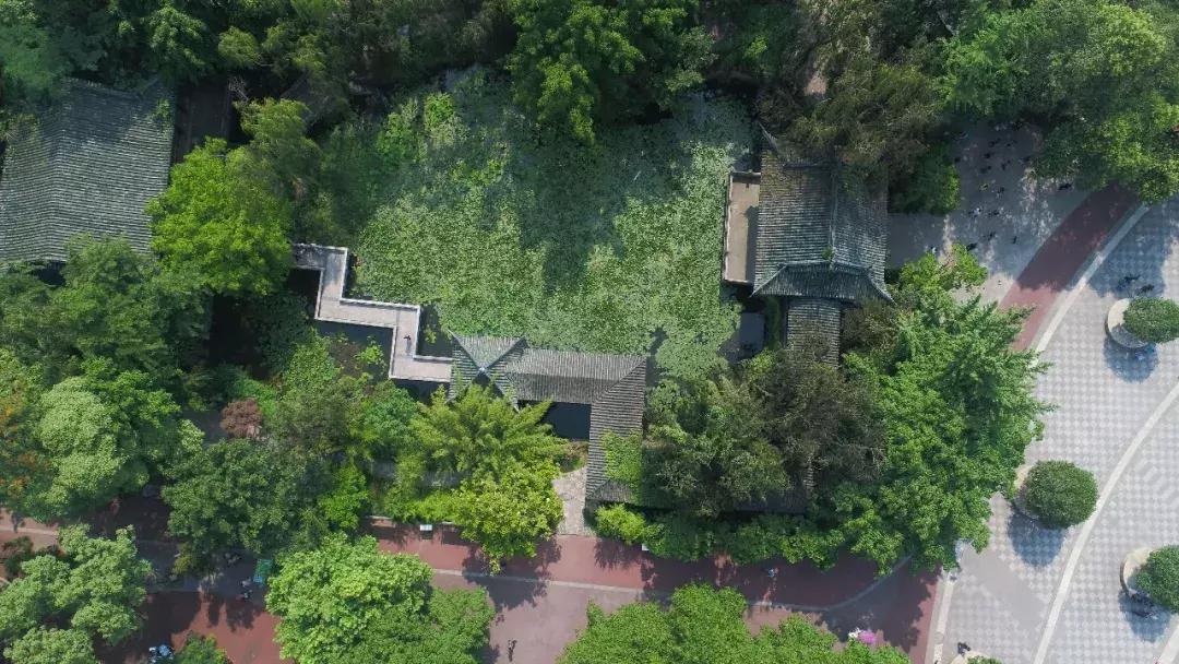 自驾旅游沿着g30高速公路看风景,沿g318去拉萨一路海拔