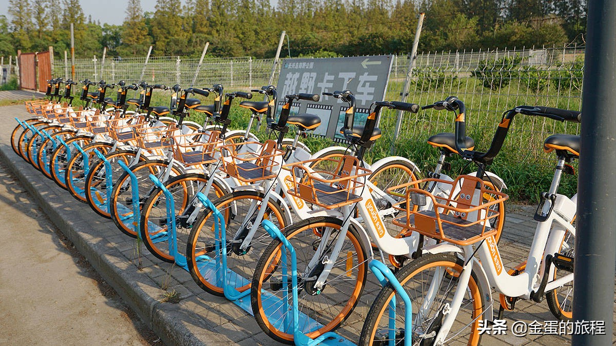 不出上海有哪些地方旅游,不出上海玩的景点排行榜