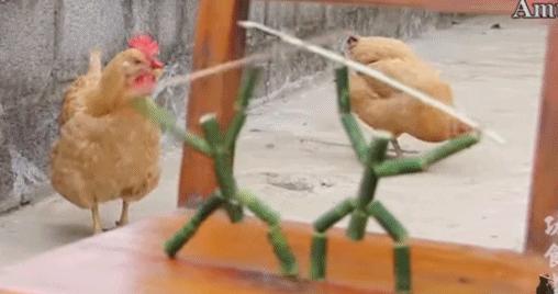 爷爷版李子柒视频评价,农村小伙子李子柒视频