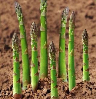 忆清明祖辈给我们留下了什么?