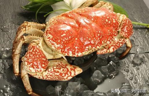 不可错过的美食美景,不可错过的特色美食推荐