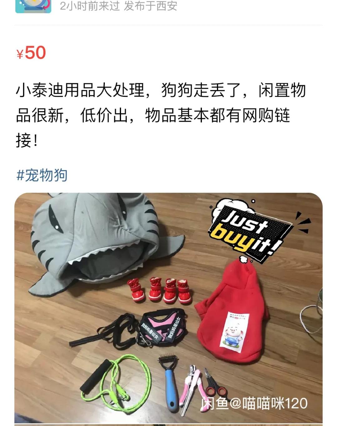 后浪闲鱼电商,后浪西安