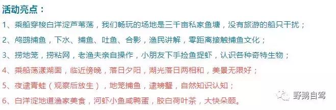 周末带娃自驾白洋淀，下地笼、抓小虾，亲密接触鱼鹰