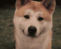 oppo手机新手机应该设置哪些,oppo手机用机指南