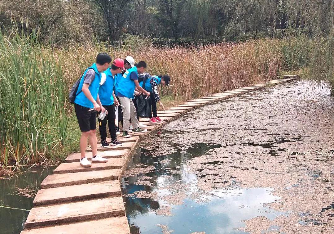 志愿服务筑牢中华民族共同体意识,志愿服务践行社会主义核心价值观