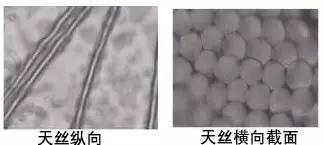 天丝棉和真丝的区别,天丝棉麻与棉料棉麻区别