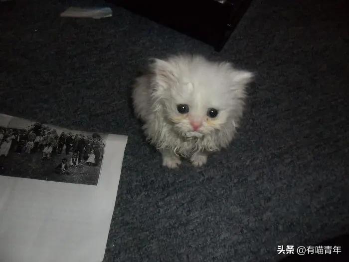 男子报警21岁喜当爹,男子喜当爹做了一件荒唐事