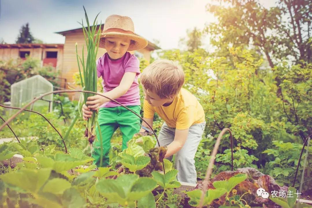 从零开始打造一个优质亲子农庄,从亏损近2亿到盈利35亿的逆袭