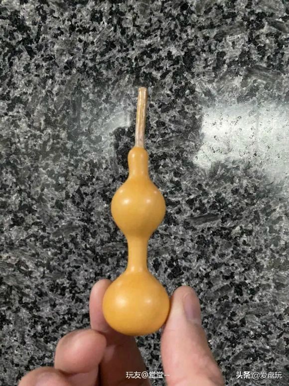 一把葫芦卖到上千上万，连种子都“千金难求”