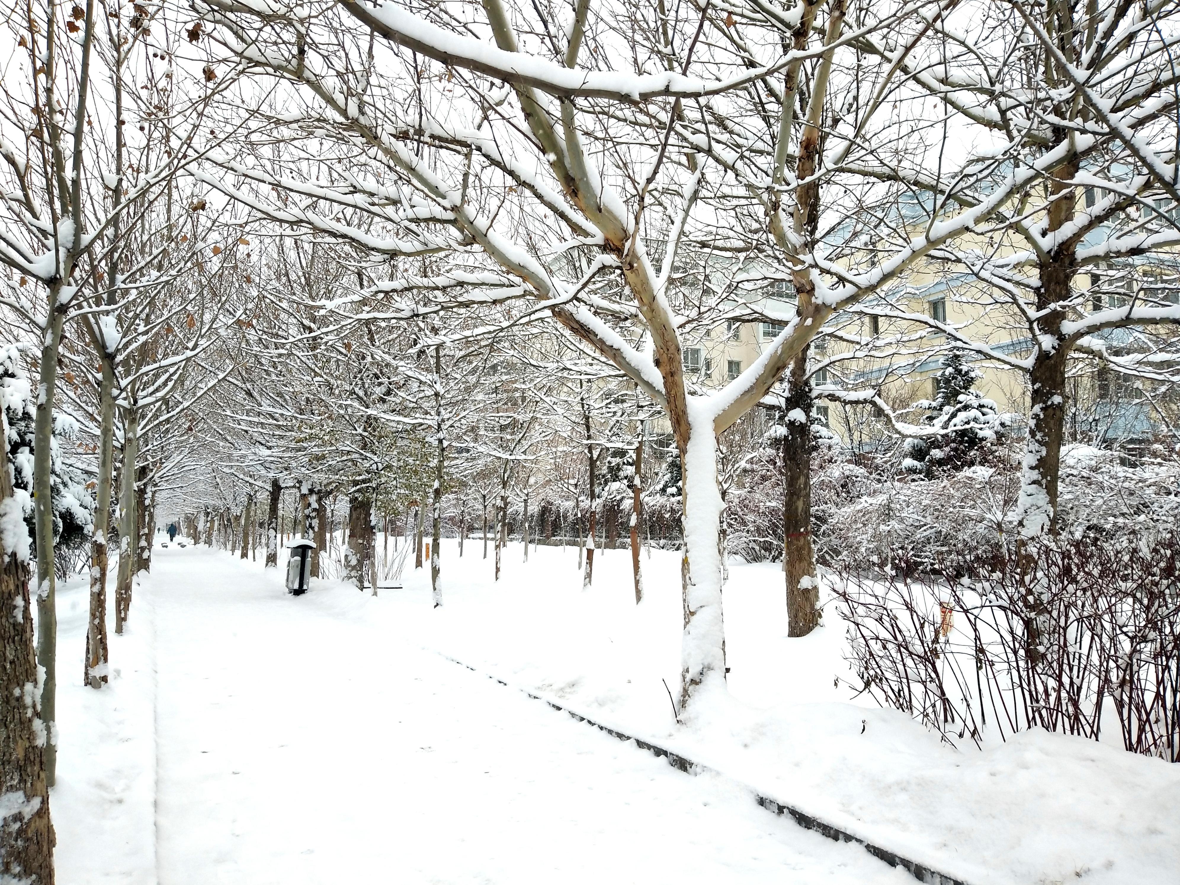 三天免税店攻略,三天培训感悟
