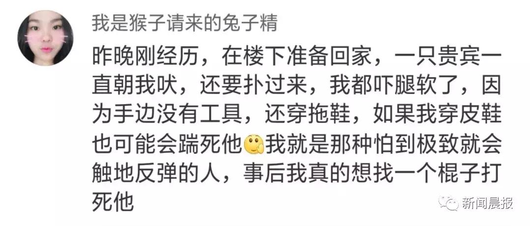 赔了20万！狗狗只是起身走了两步，老人摔成9级伤残！网友炸锅…
