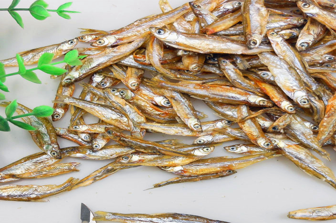 仓鼠布丁和银狐都吃些什么,仓鼠银狐怎么挑食的呢图片